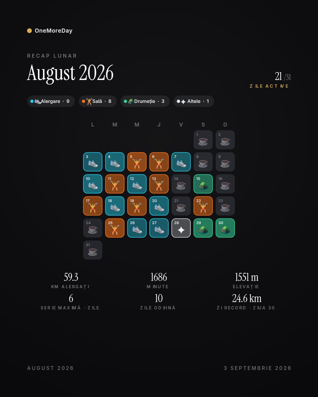 raport activitate august 2026