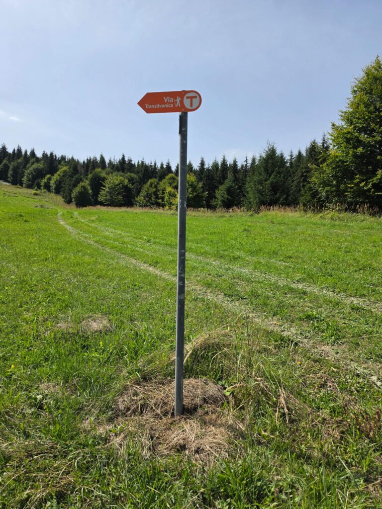 via transilvanica