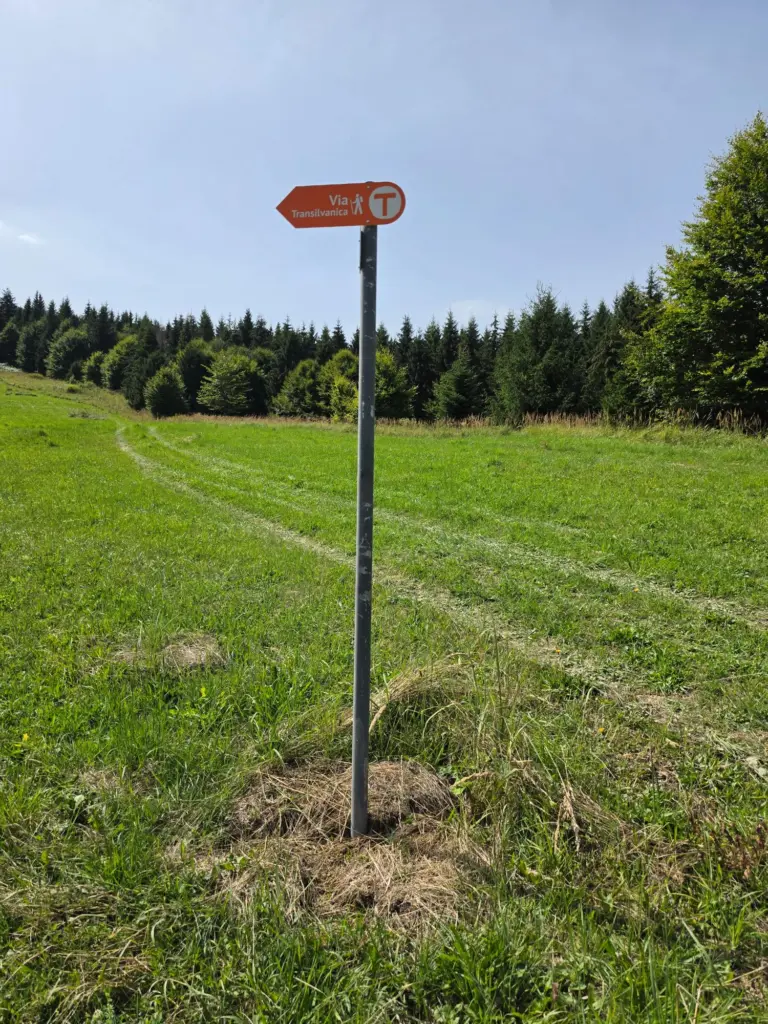 via transilvanica