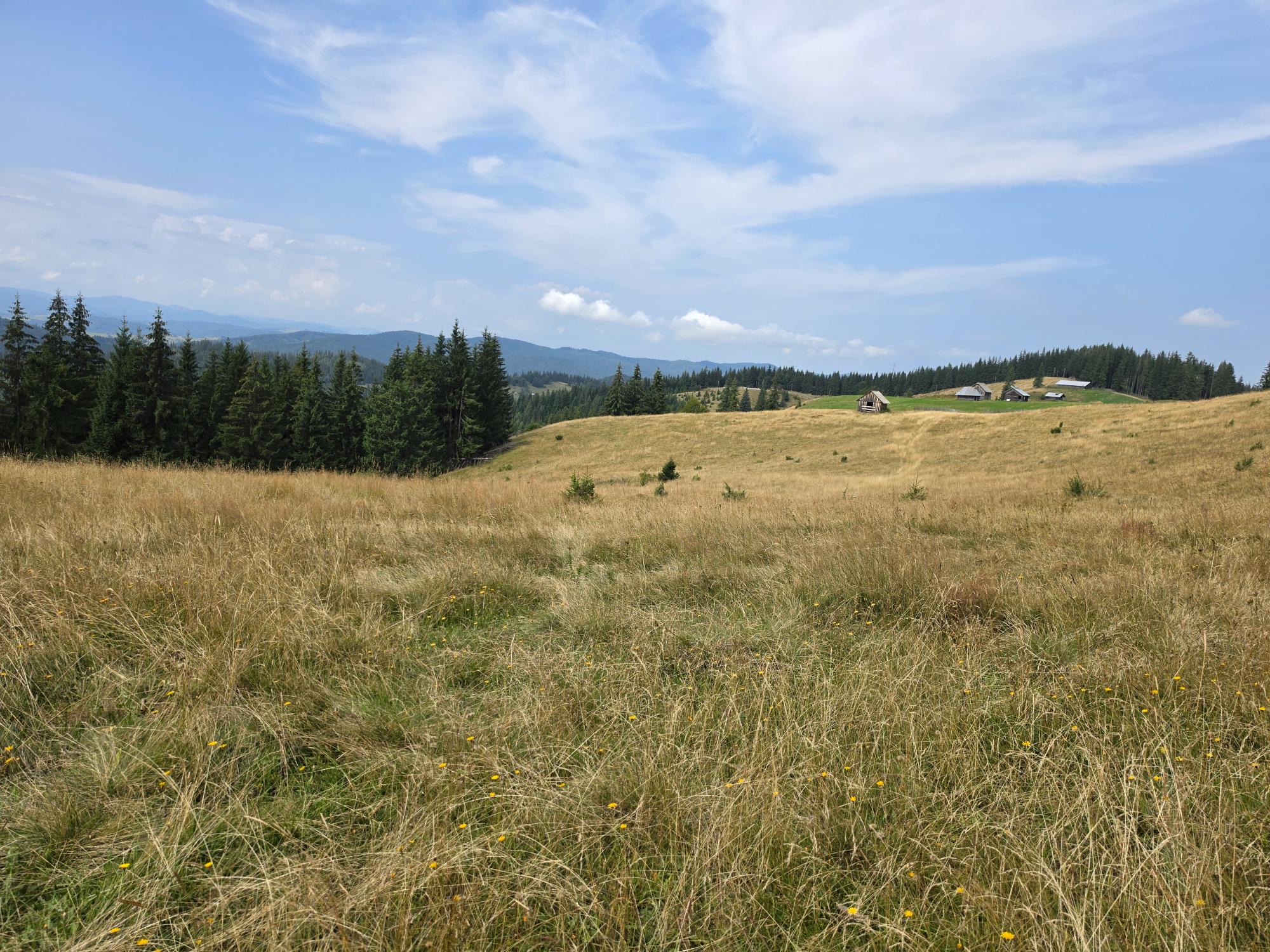 via transilvanica poze
