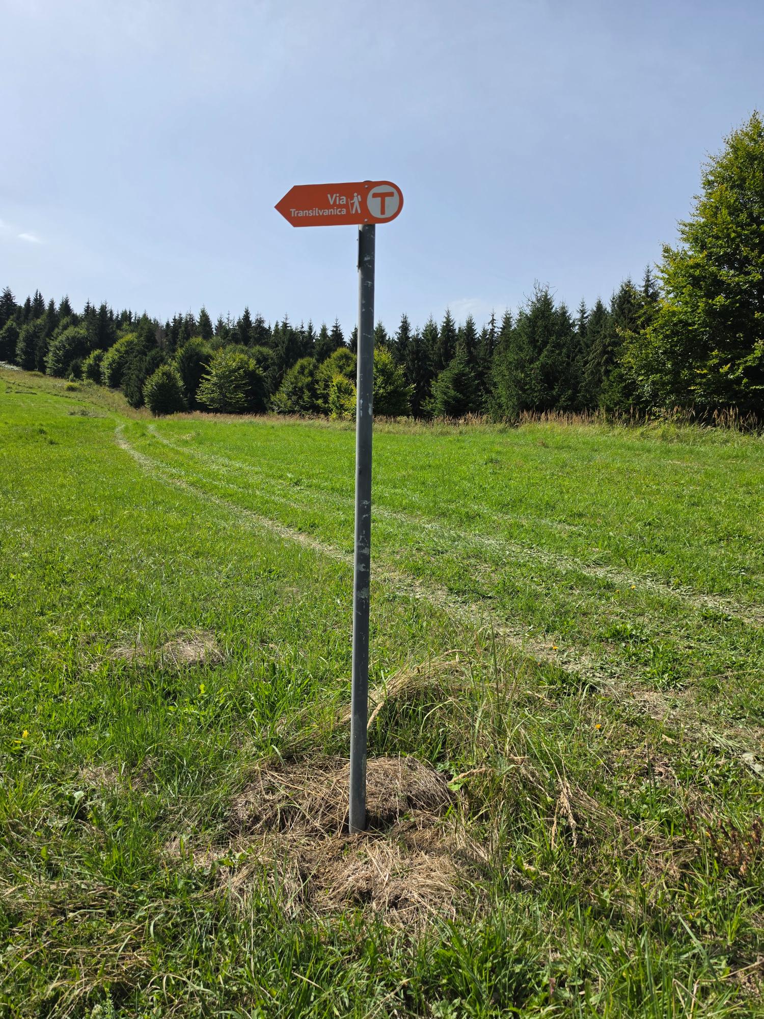 via transilvanica