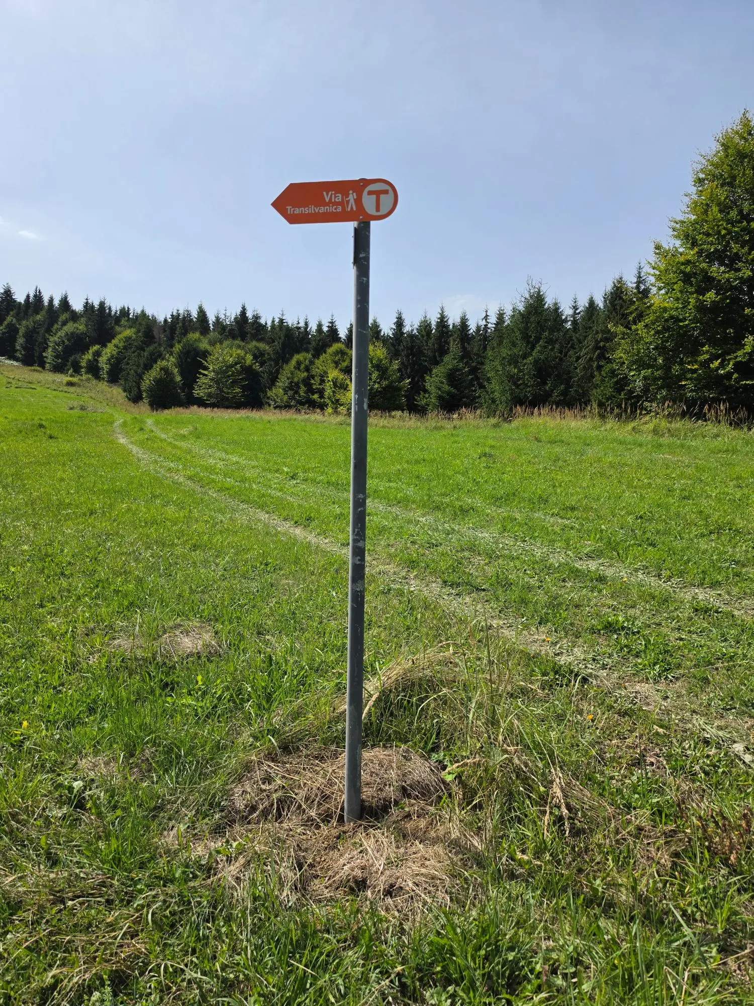 via transilvanica